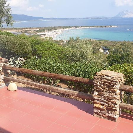 Ferienhaus Panorama, San Teodoro, Isuledda San Teodoro  Zewnętrze zdjęcie