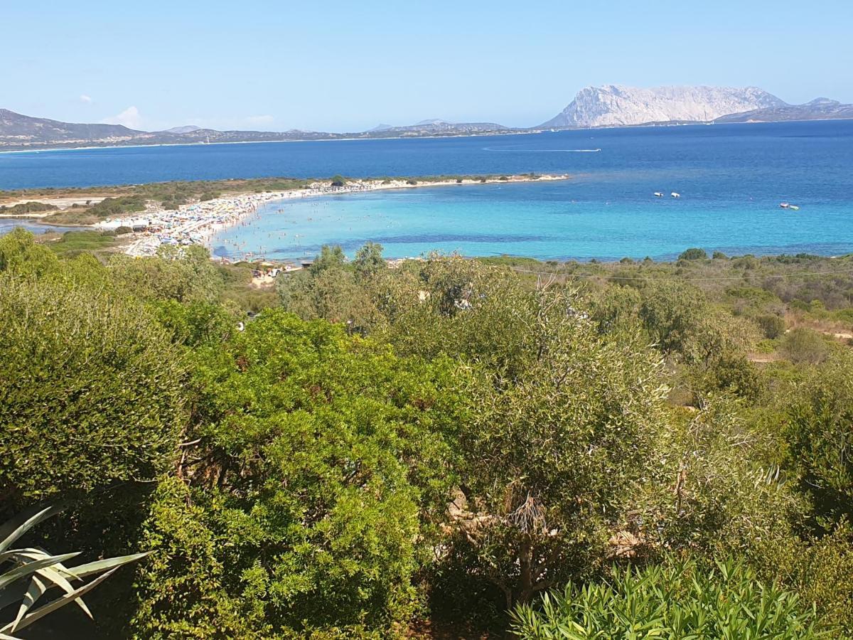 Ferienhaus Panorama, San Teodoro, Isuledda San Teodoro  Zewnętrze zdjęcie