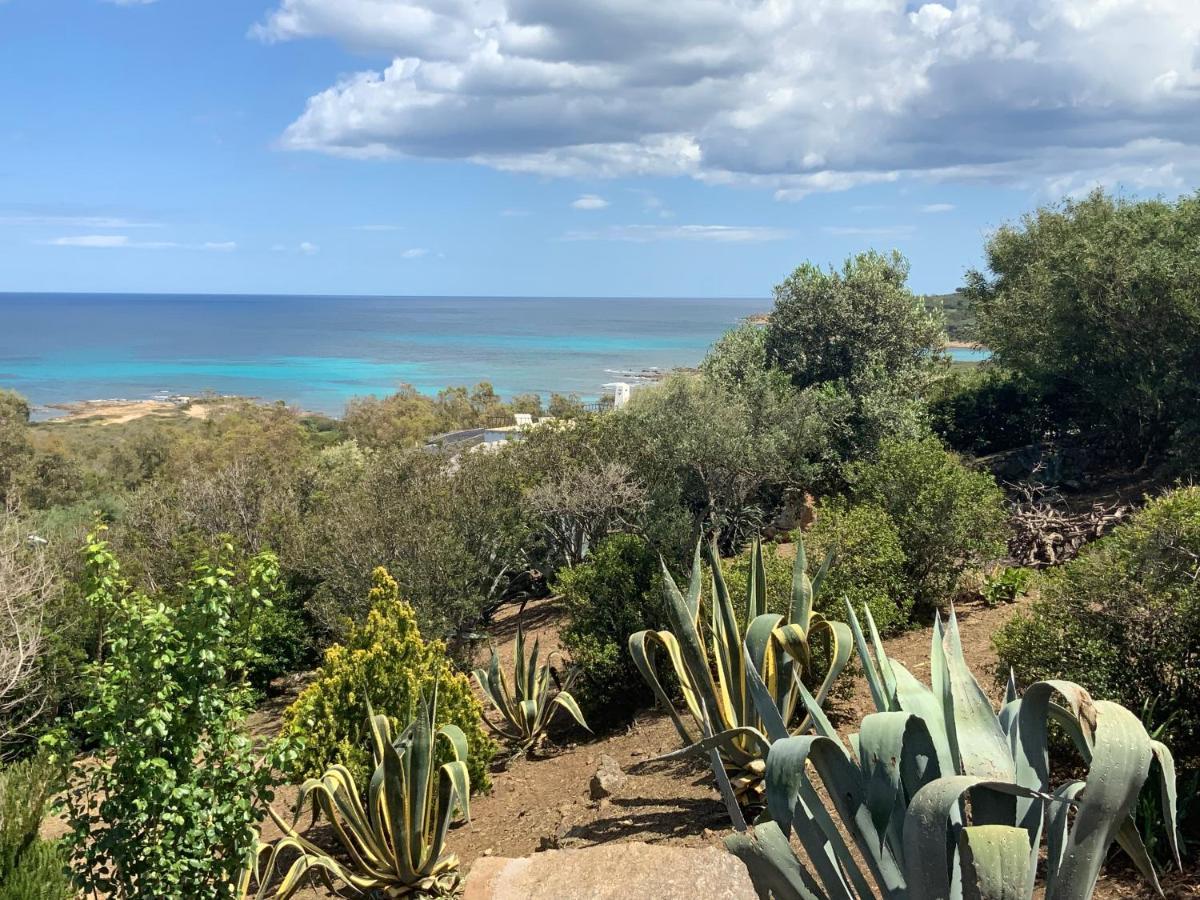 Ferienhaus Panorama, San Teodoro, Isuledda San Teodoro  Zewnętrze zdjęcie