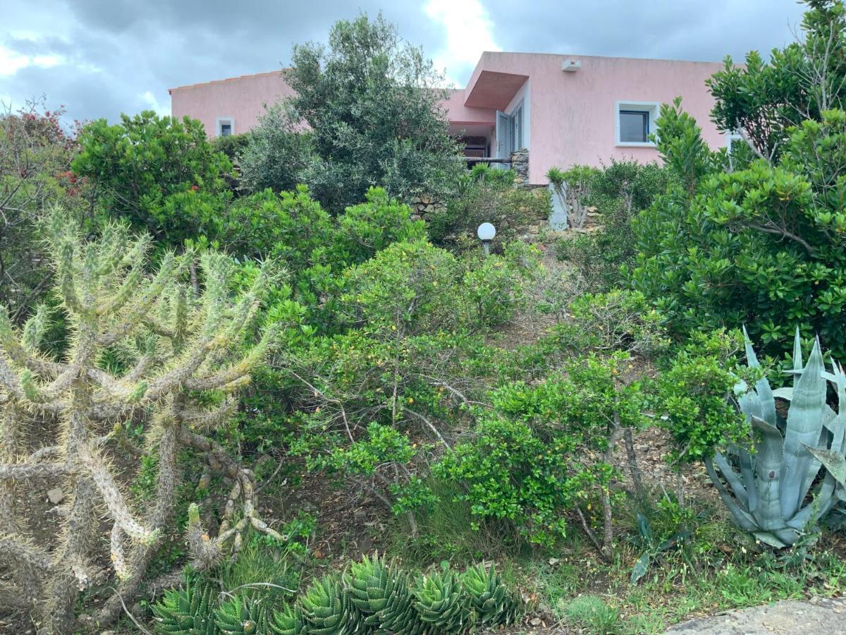 Ferienhaus Panorama, San Teodoro, Isuledda San Teodoro  Zewnętrze zdjęcie